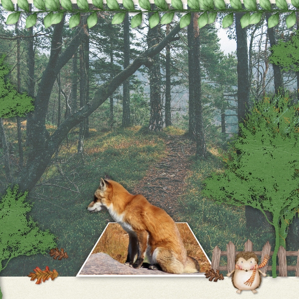 little fox in the forest