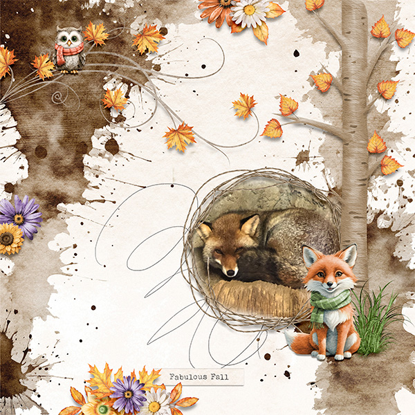 Little fox