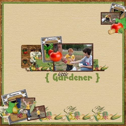 Little Gardener