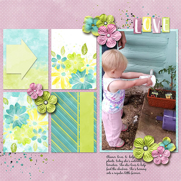 Little Gardener