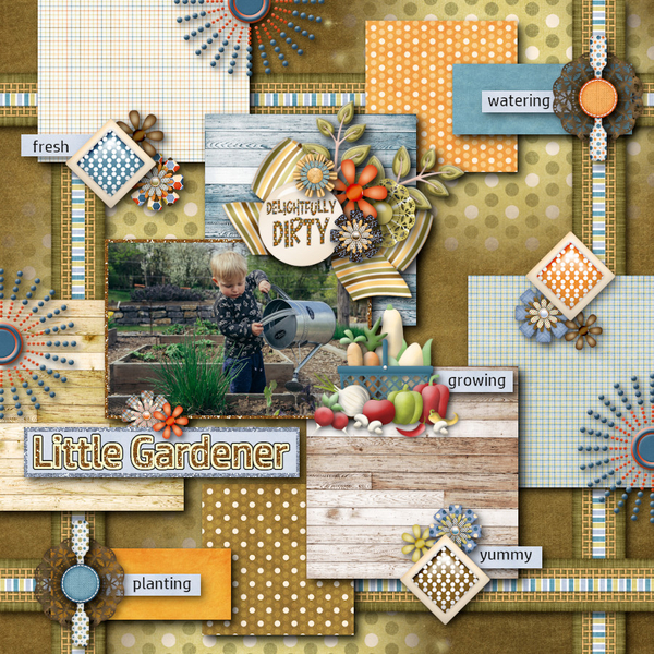 Little Gardner