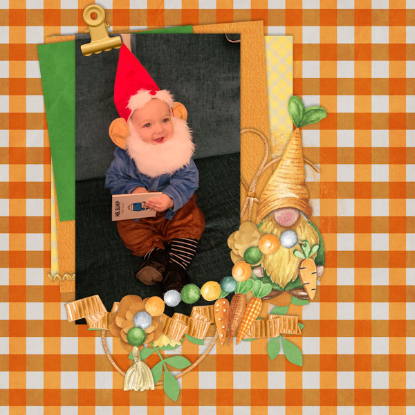 Little Gnome
