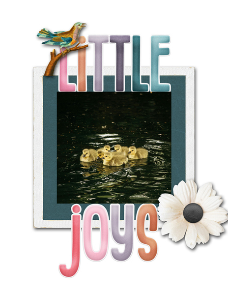 Little Joys