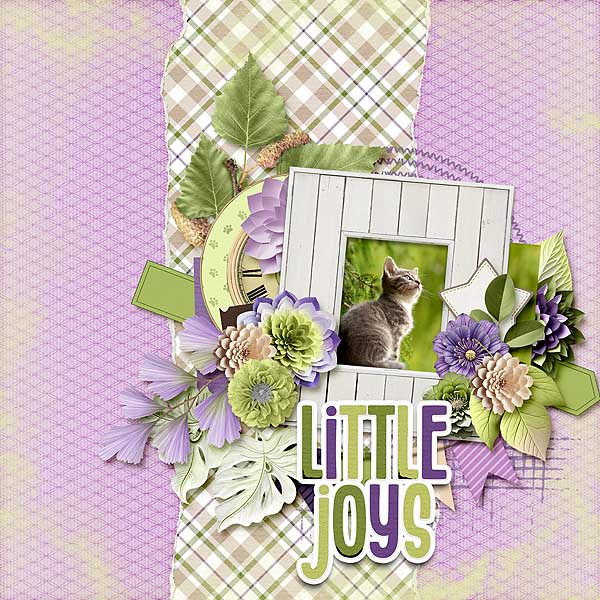 Little Joys