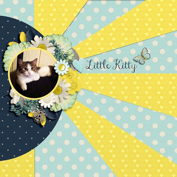 Little Kitty