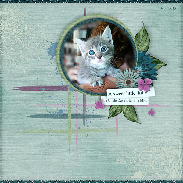 Little Kitty