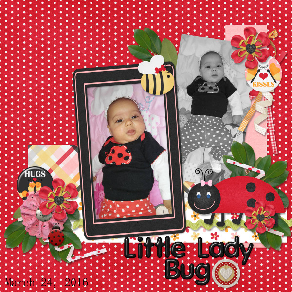 Little Lady Bug