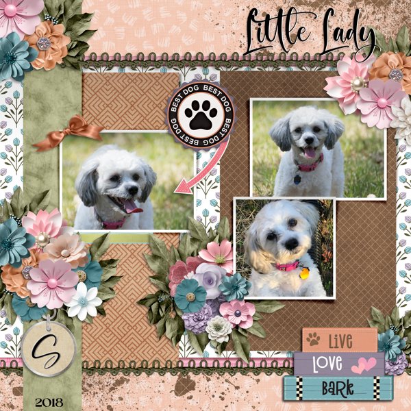 Little Lady - Sydney