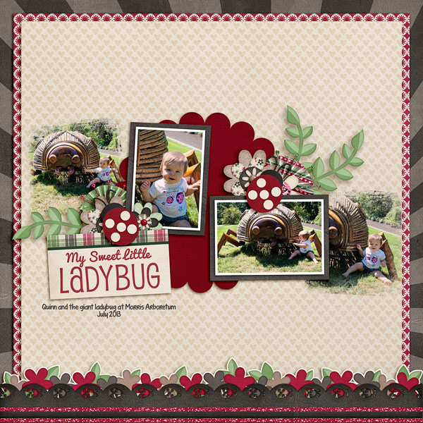Little ladybug