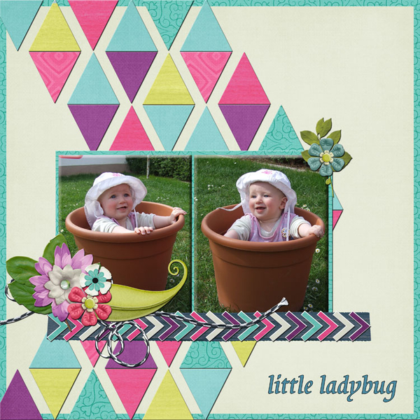 little ladybug