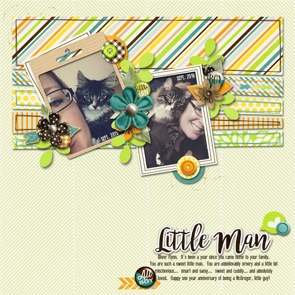 Little Man | Sept. 2016