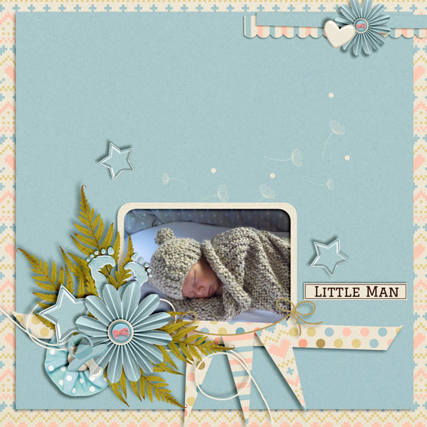 Little-Man3