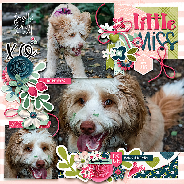 Little Miss