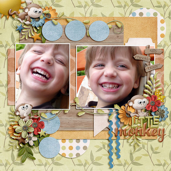 Little Monkey