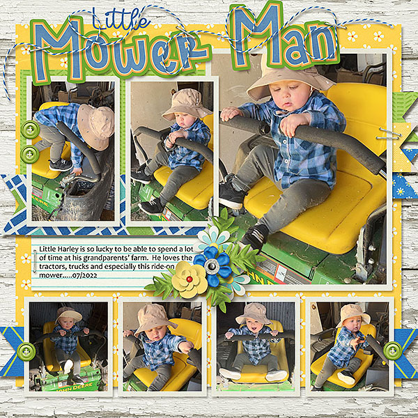 Little Mower Man