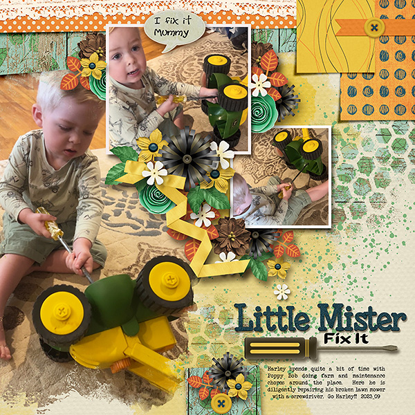 Little Mr Fix It