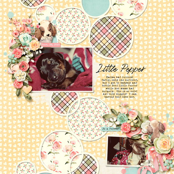 Little Pepper