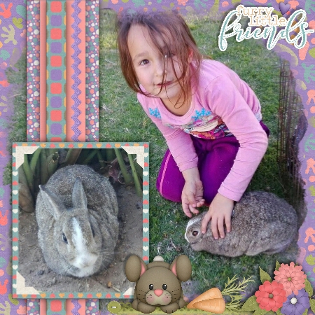 Little Pets, Big Hearts
