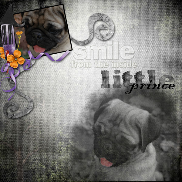 little prince