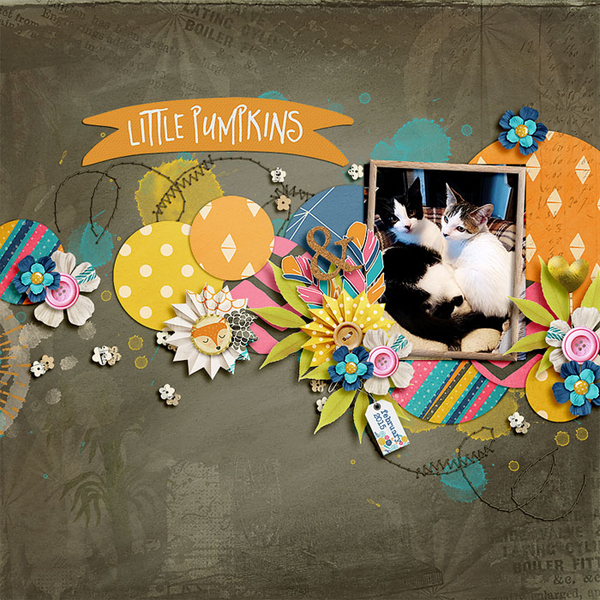 little pumpkins