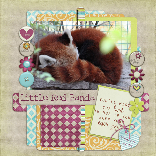 Little Red Panda
