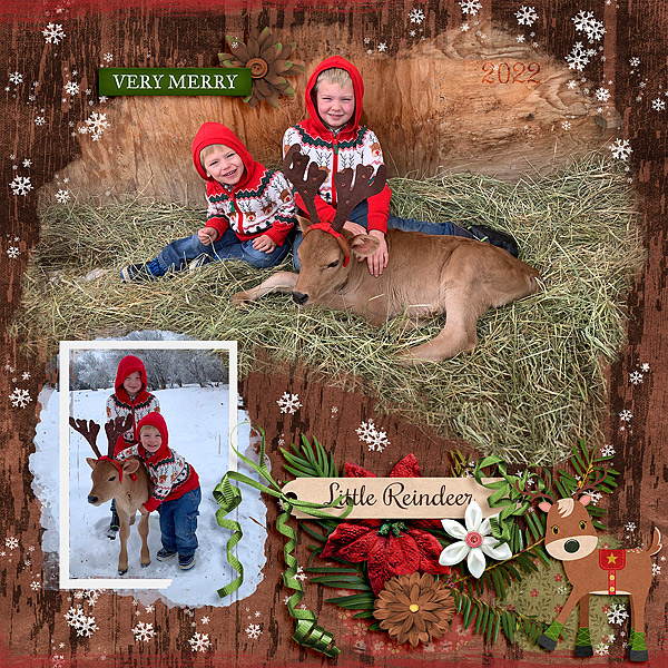 Little Reindeer
