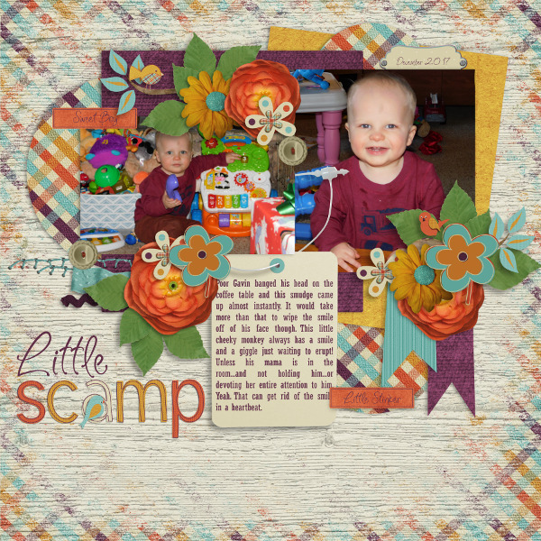 Little Scamp