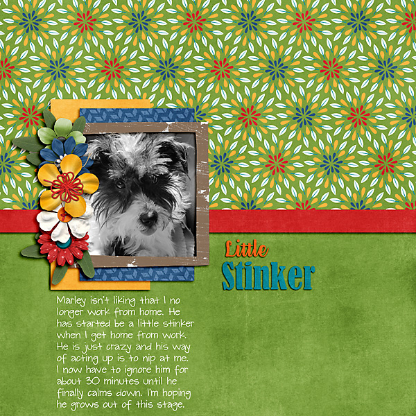 Little Stinker