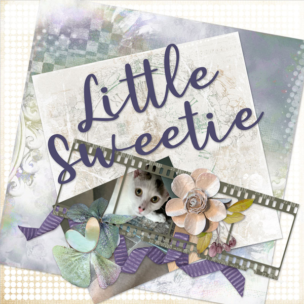Little Sweetie