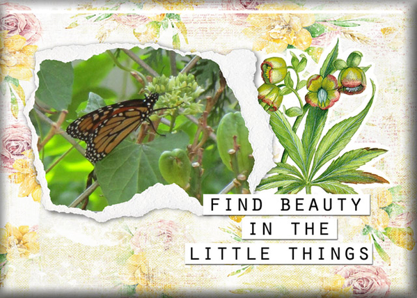 Little Things
