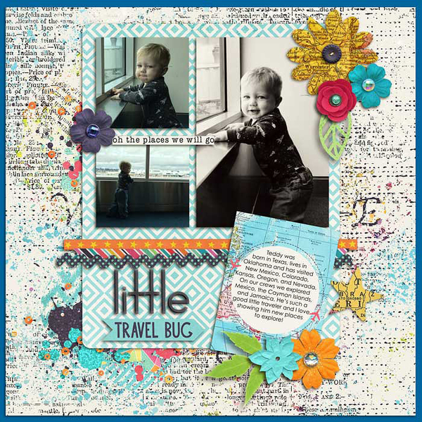 Little Travel Bug