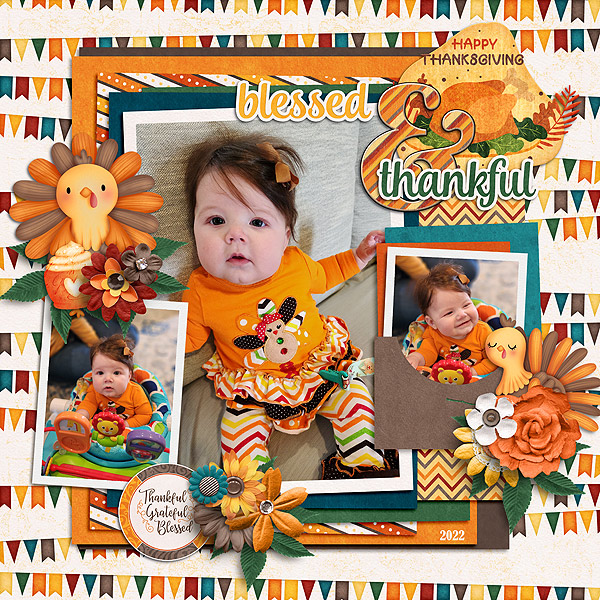 Little Turkey