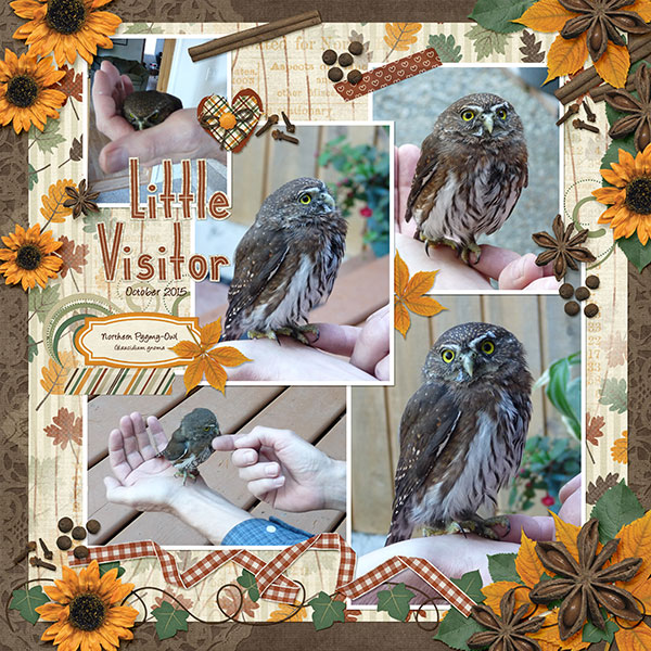 Little Visitor