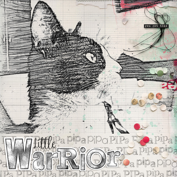 Little Warrior