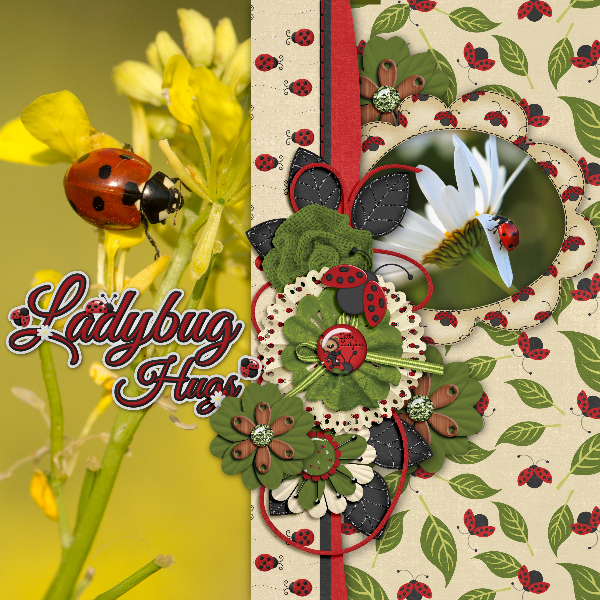 Little_ladybug