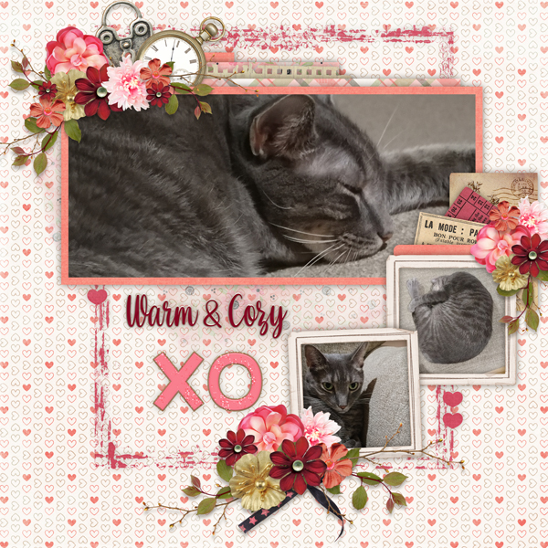 Live In Comfort Torn Frames Temp #3 + Word Art-Miss Fish Heartland-Caro