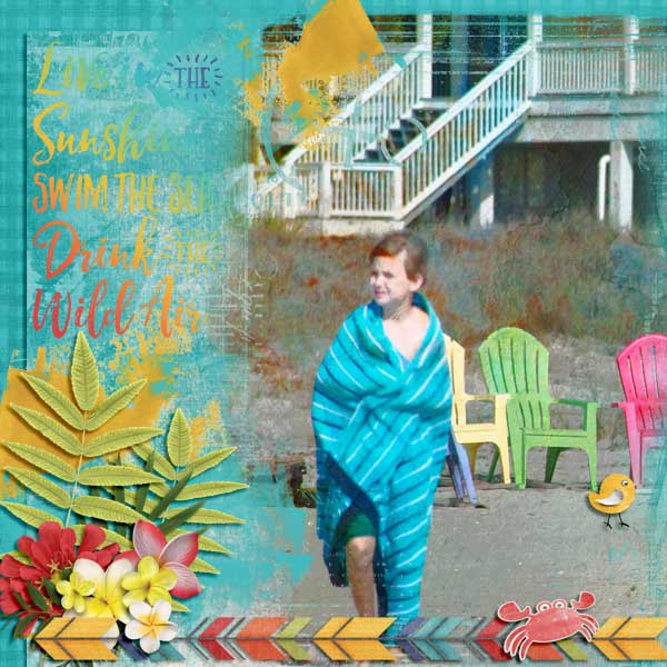 Live In The Sunshine