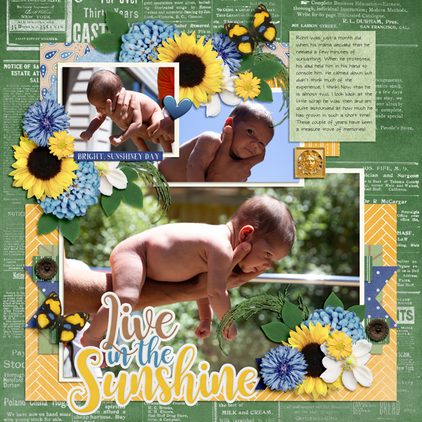 Live in the Sunshine