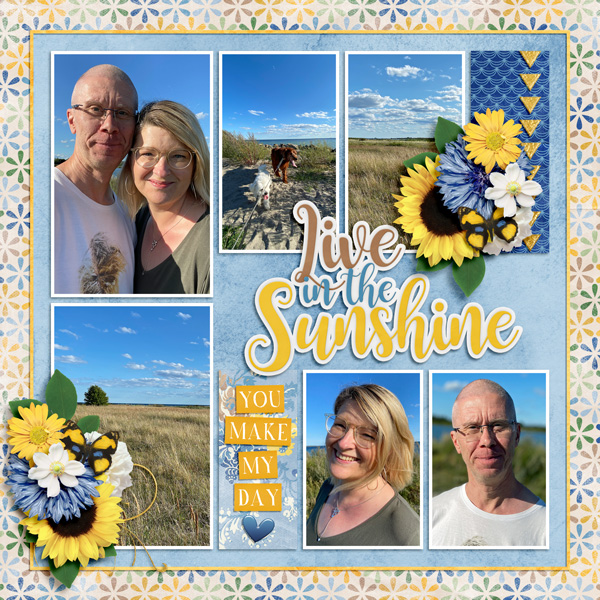 Live in the sunshine