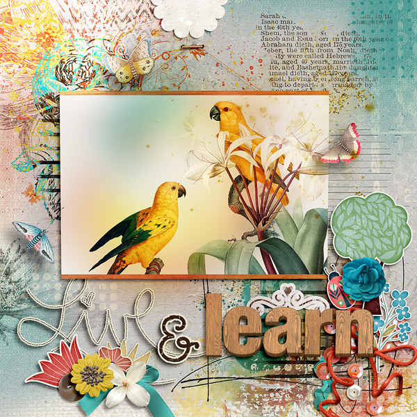 Live + Learn