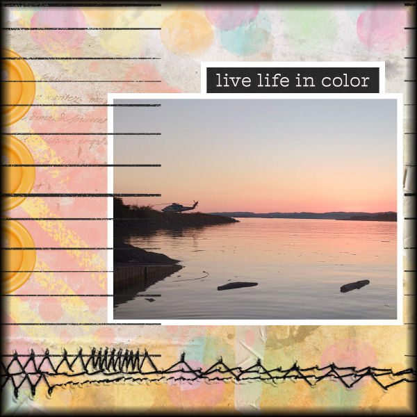 live life in color