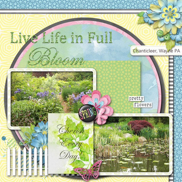 Live Life in Full Bloom