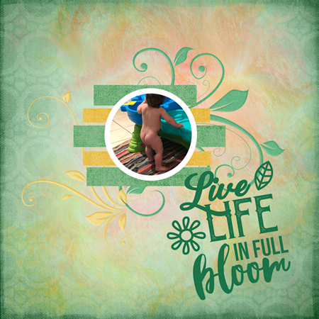 Live Life In Full Bloom!