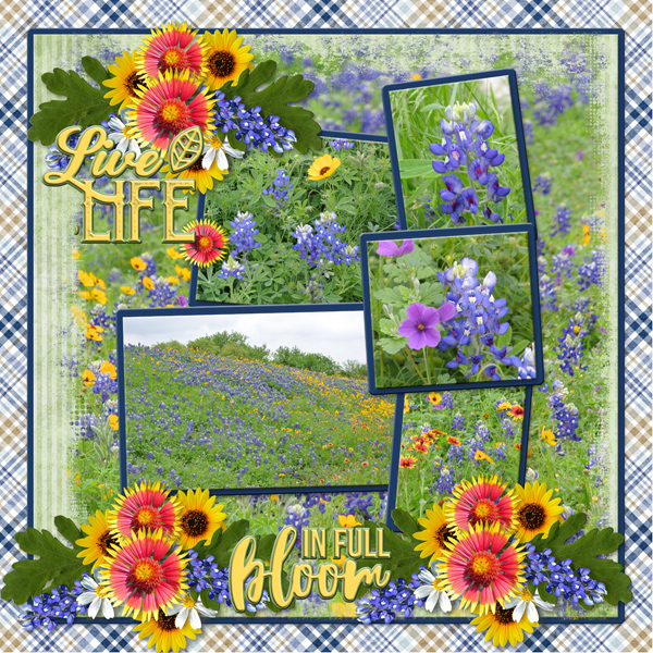 Live life in full bloom
