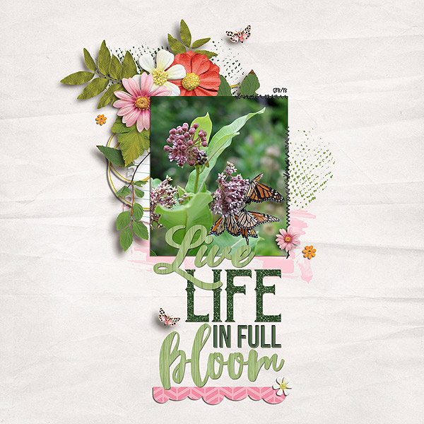 Live Life in Full Bloom