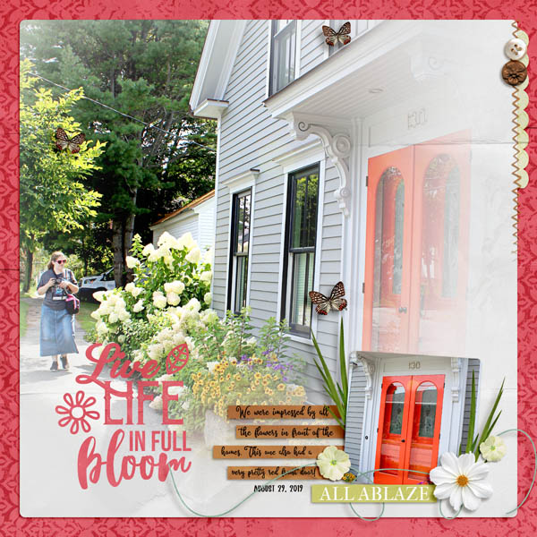 Live Life in Full Bloom