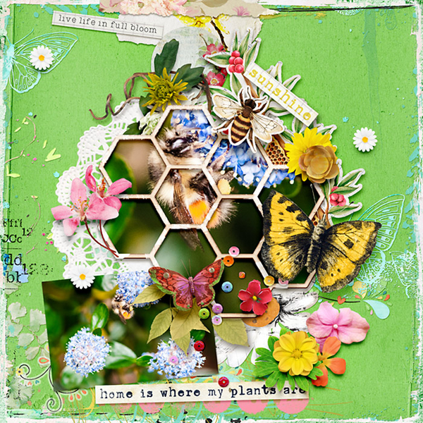 Live Life In Full Bloom
