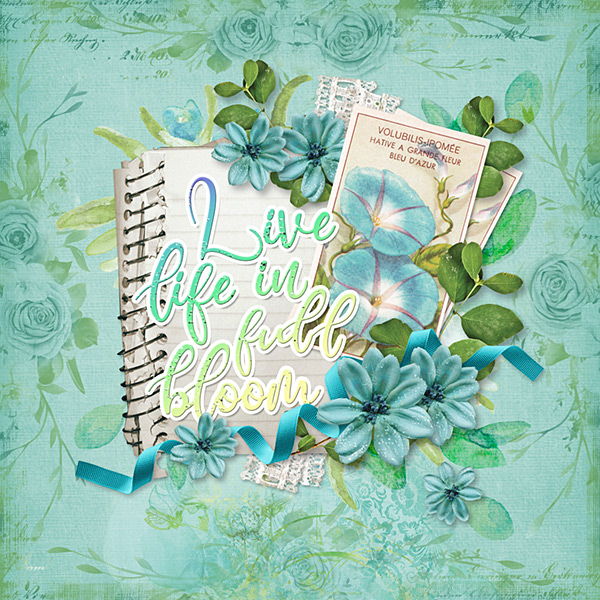 Live Life in Full Bloom