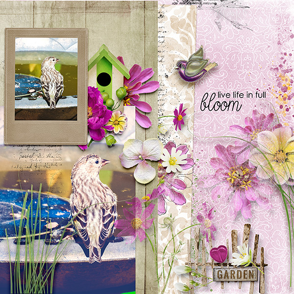 Live Life In Full Bloom