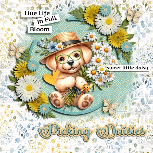 Live Life In Full Bloom